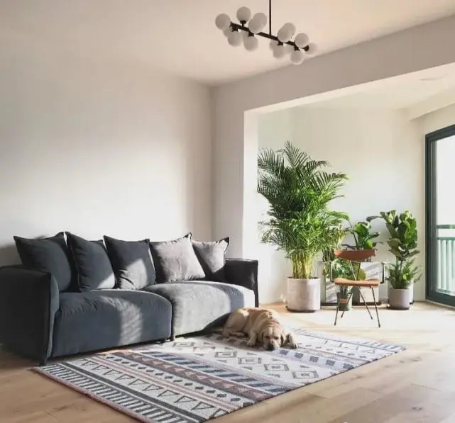 陽(yáng)臺(tái)要不要裝推拉門？客廳和陽(yáng)臺(tái)裝門與不裝門的優(yōu)缺點(diǎn)